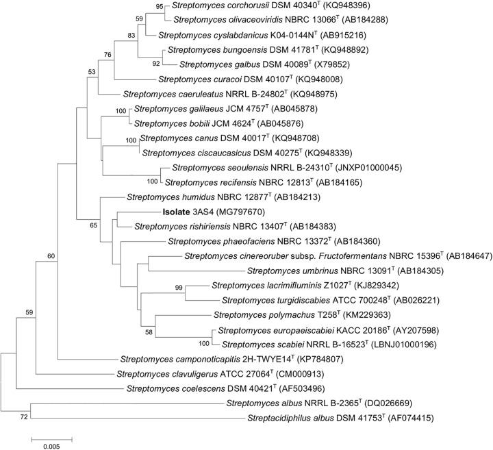 FIGURE 1