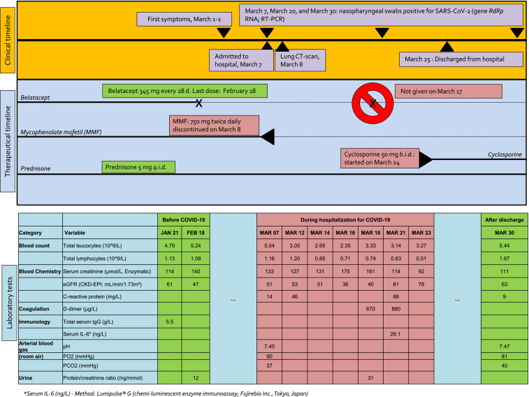 FIGURE 1