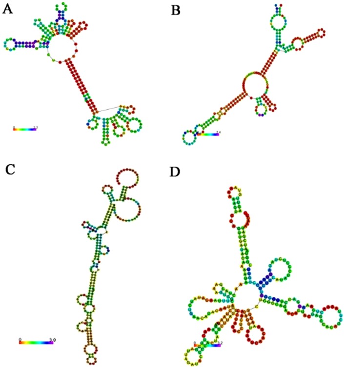 Figure 6