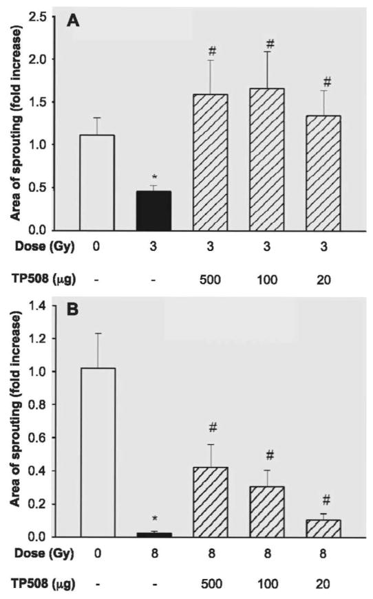 FIG. 6