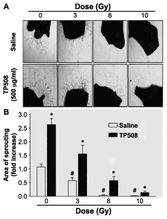 FIG. 5