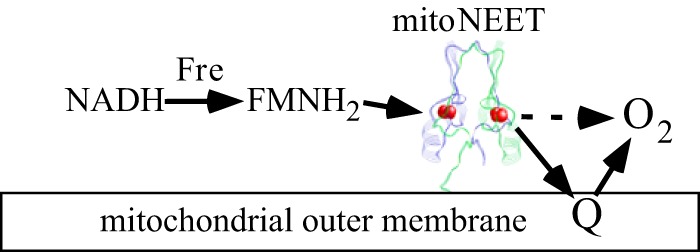 Figure 7.