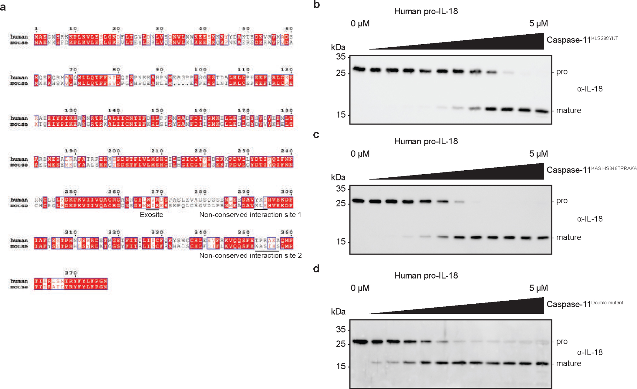 Extended Data Fig. 10 |