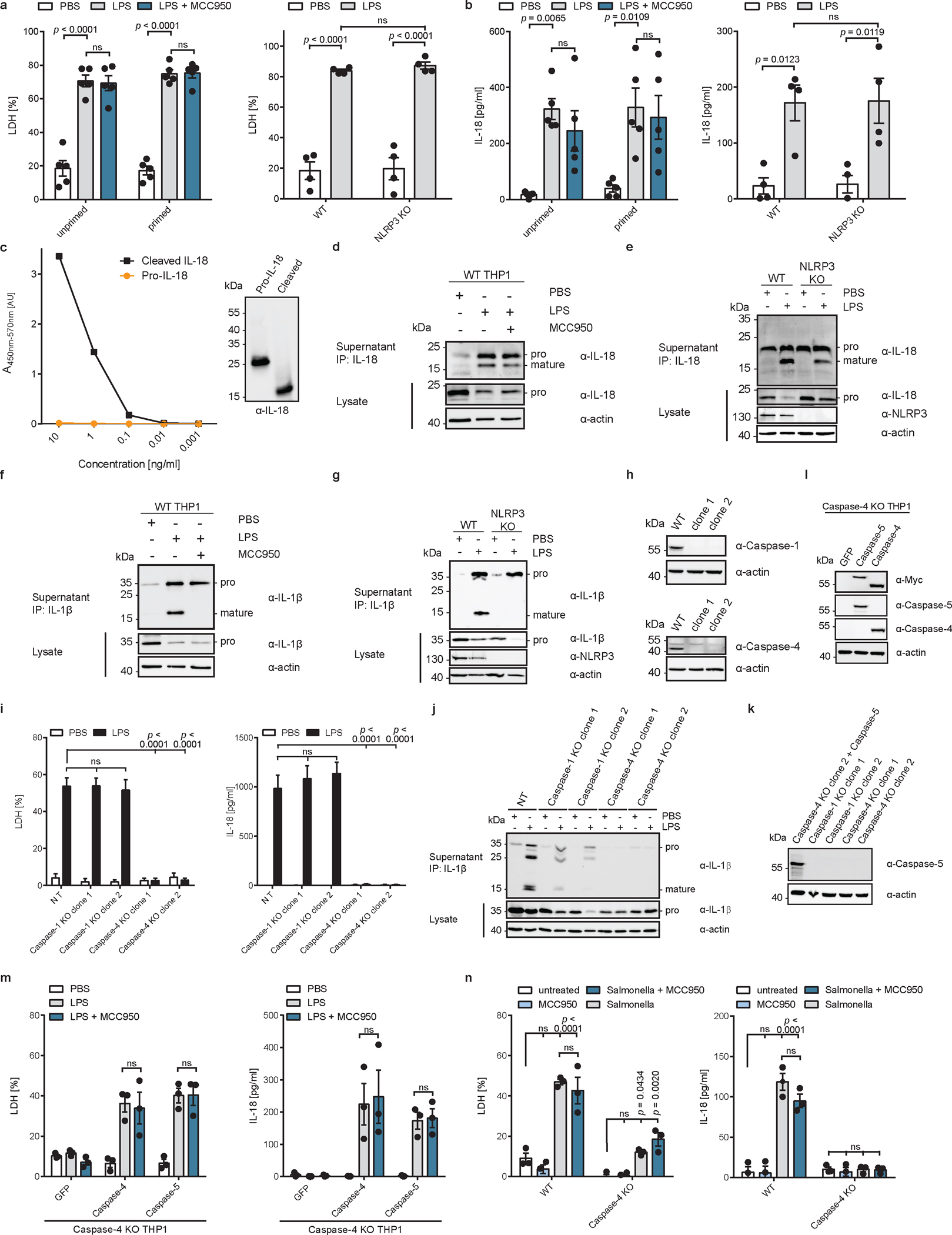 Extended Data Fig. 2 |