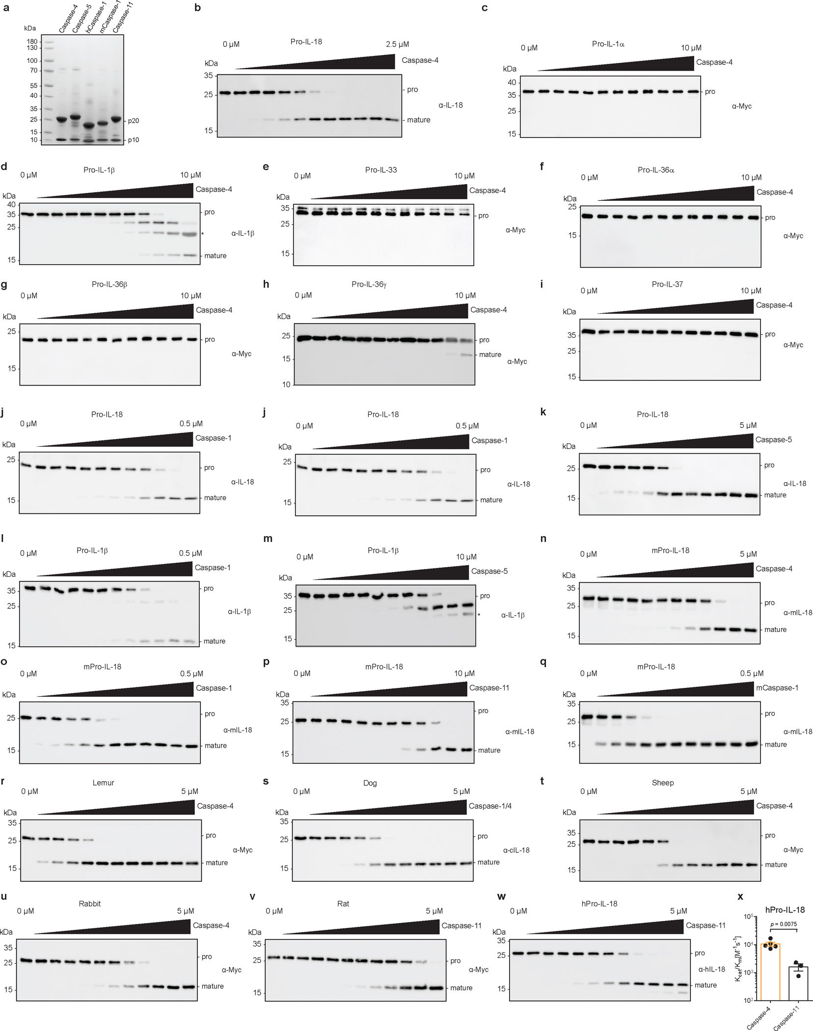 Extended Data Fig. 1 |