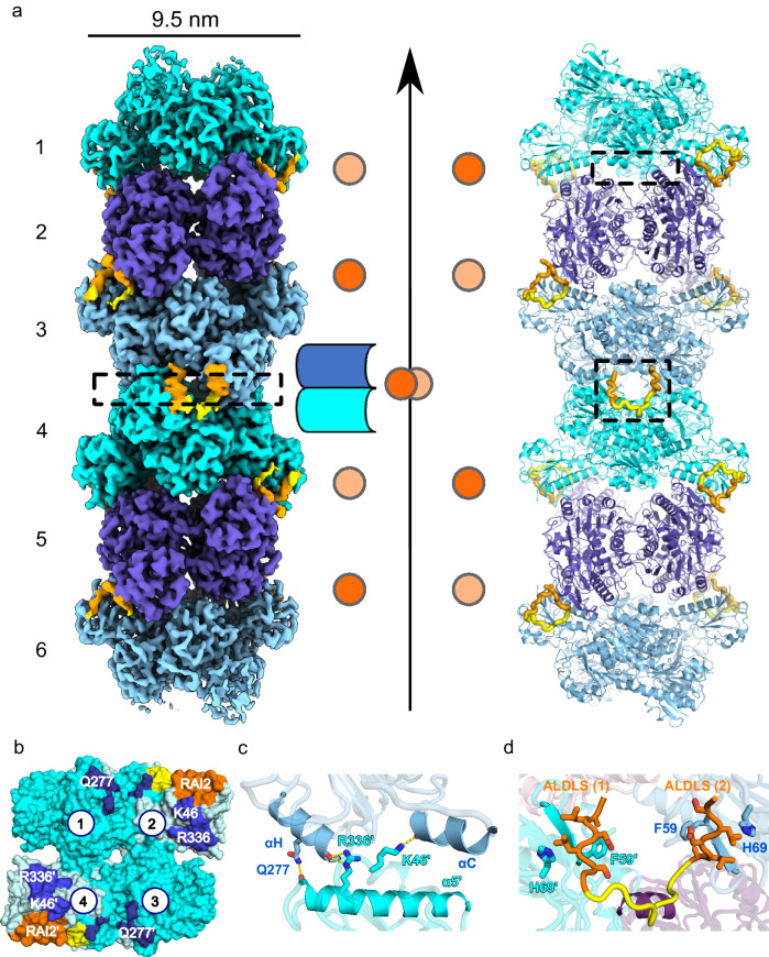 Fig. 3