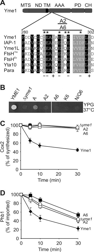 FIG. 5.