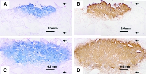 FIG. 5.