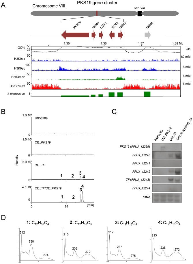 Figure 14