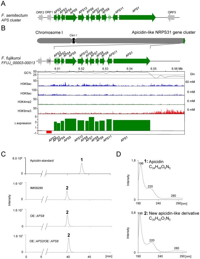 Figure 13