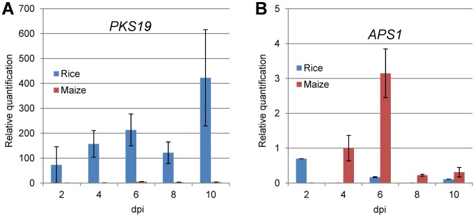 Figure 15