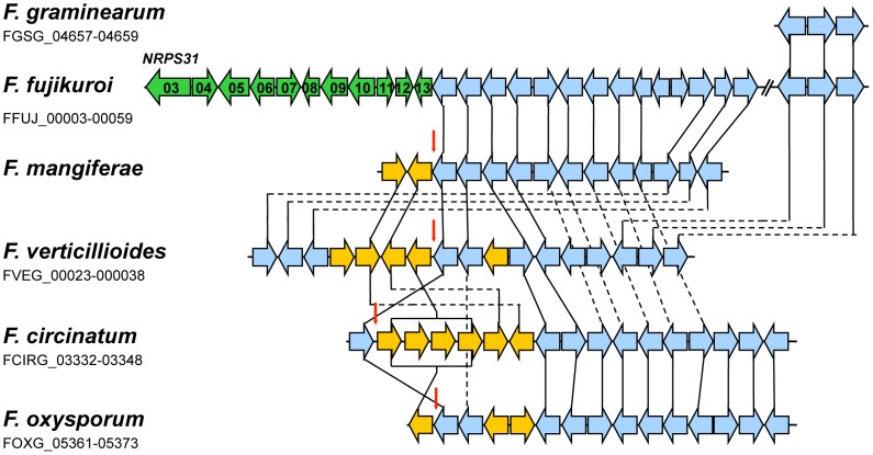 Figure 9