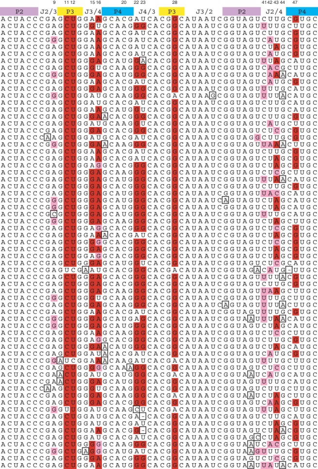 FIGURE 3.