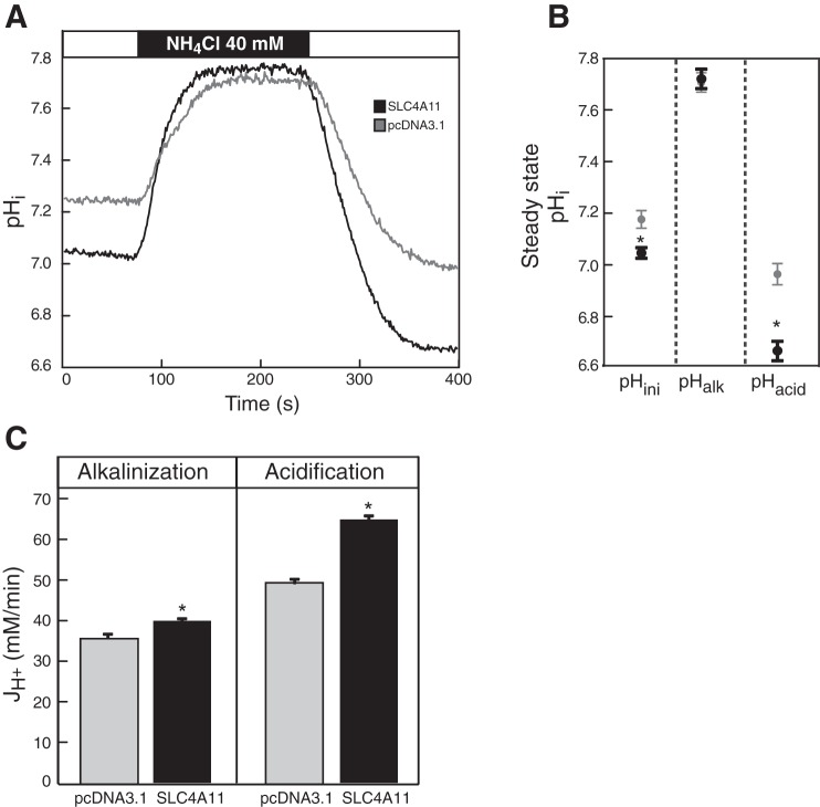 Fig. 9.