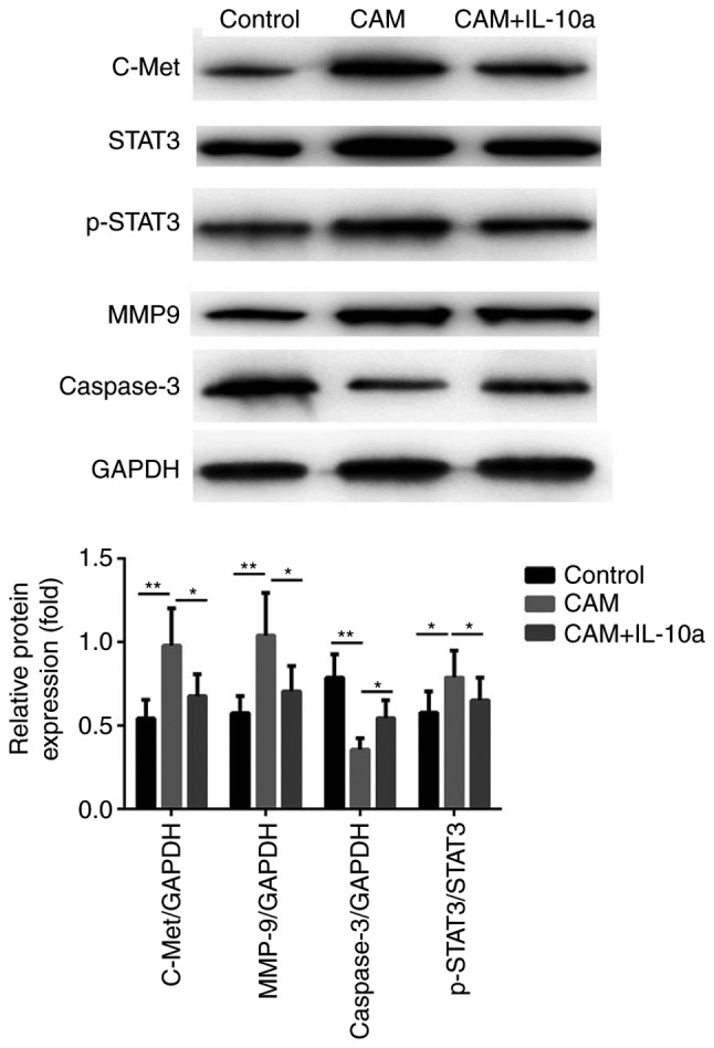 Figure 10.