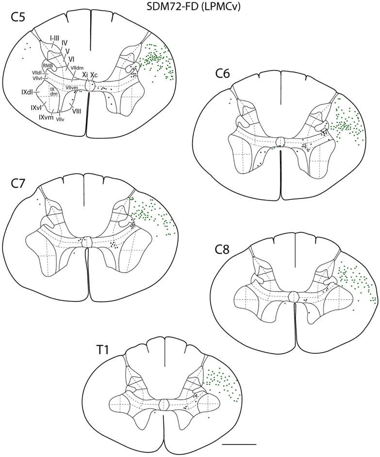 Figure 5.