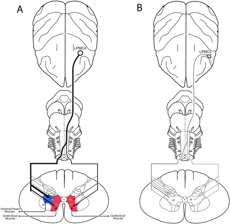 Figure 16.