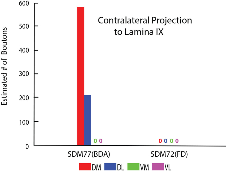 Figure 13.