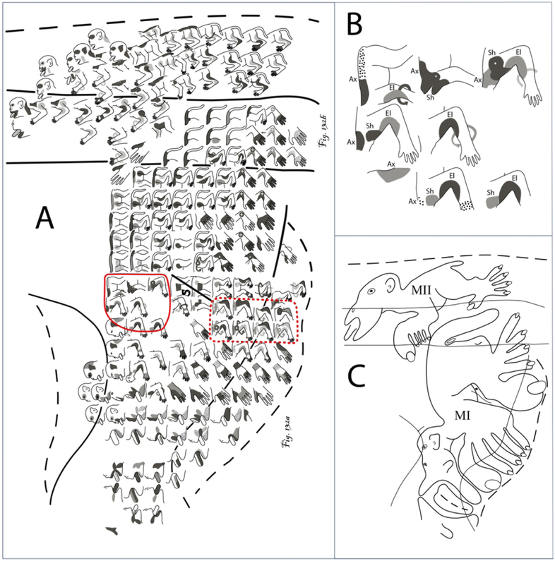 Figure 17.