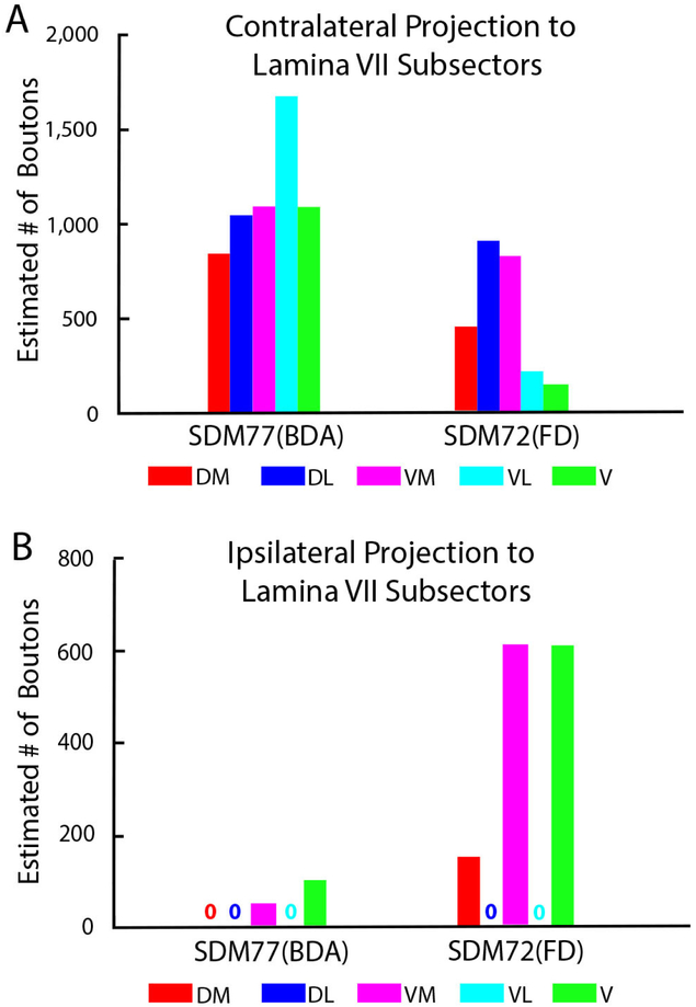 Figure 12.