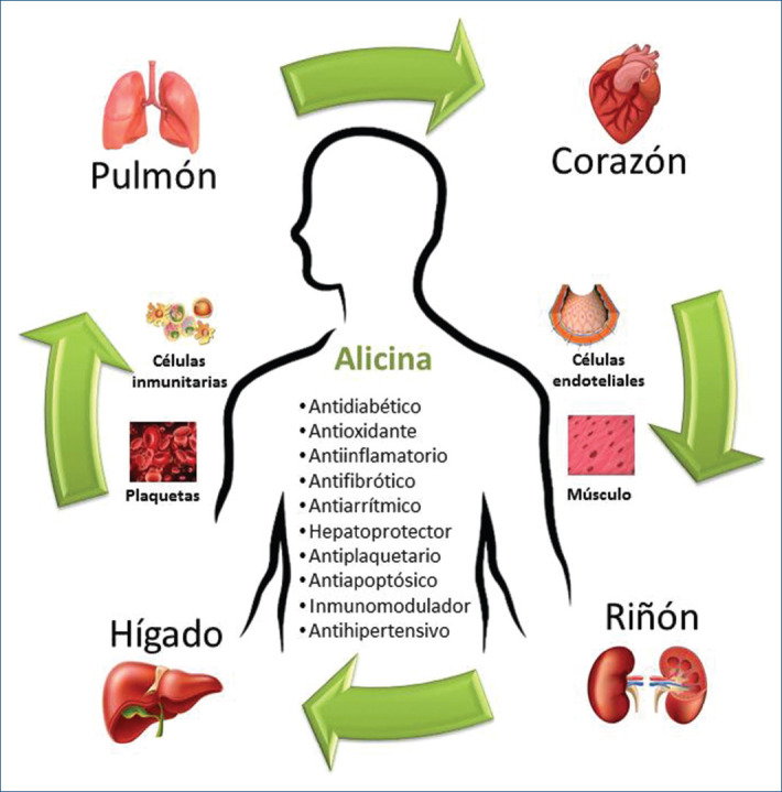 Figura 2