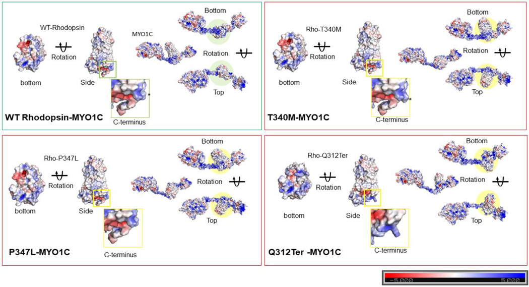 Figure 6: