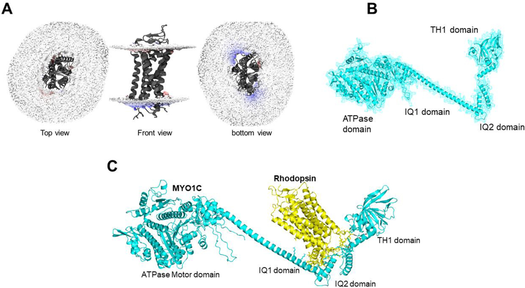 Figure 4: