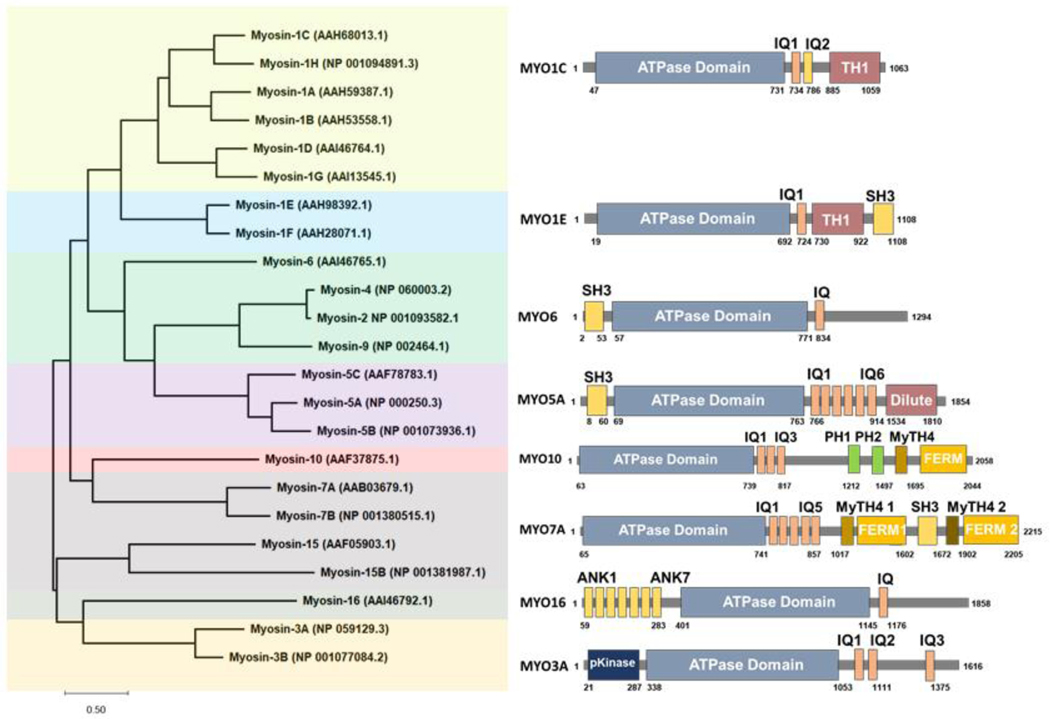 Figure 1: