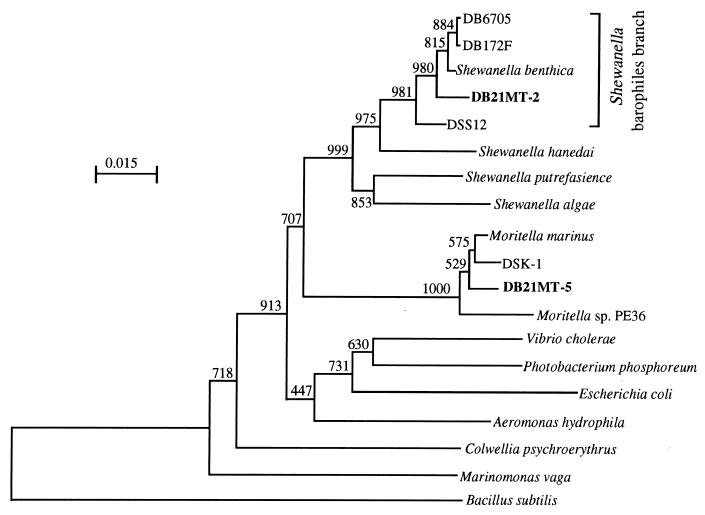 FIG. 4