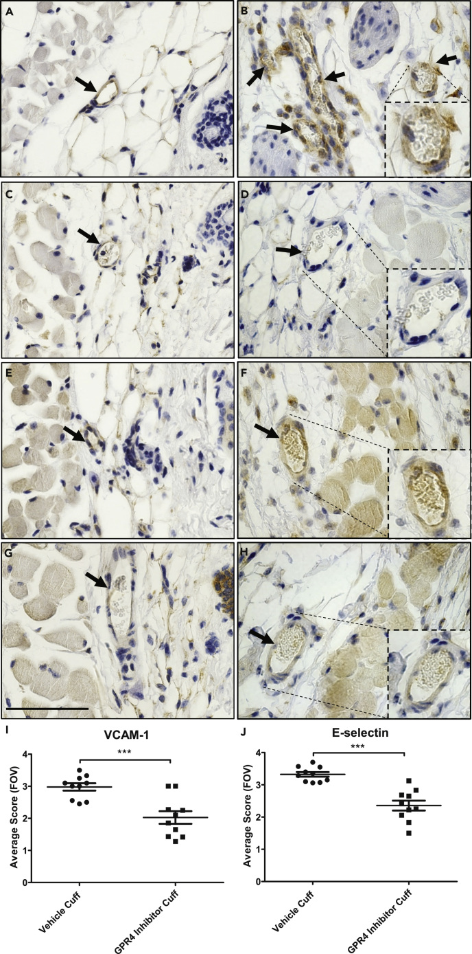 Figure 10