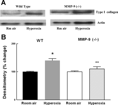 Fig. 9.