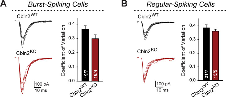 Figure 1—figure supplement 1.