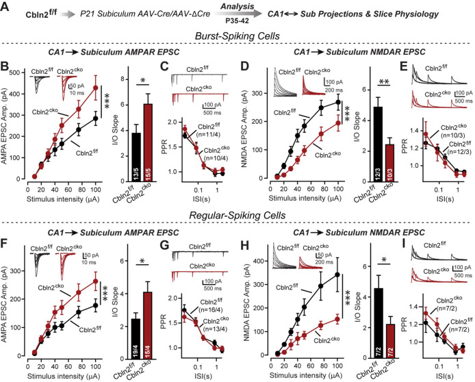 Figure 1—figure supplement 2.