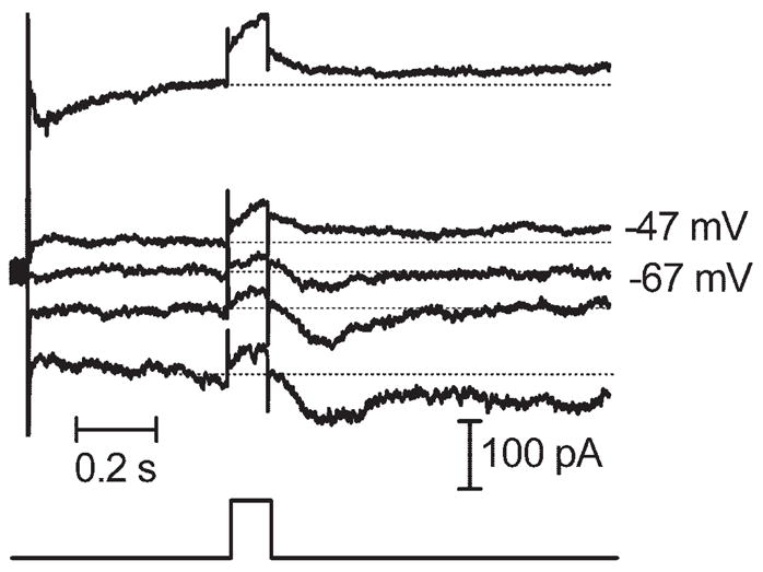 Figure 7