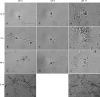 FIG. 2.