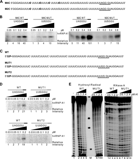 FIG. 6.