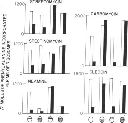 graphic file with name pnas00058-0139-a.jpg