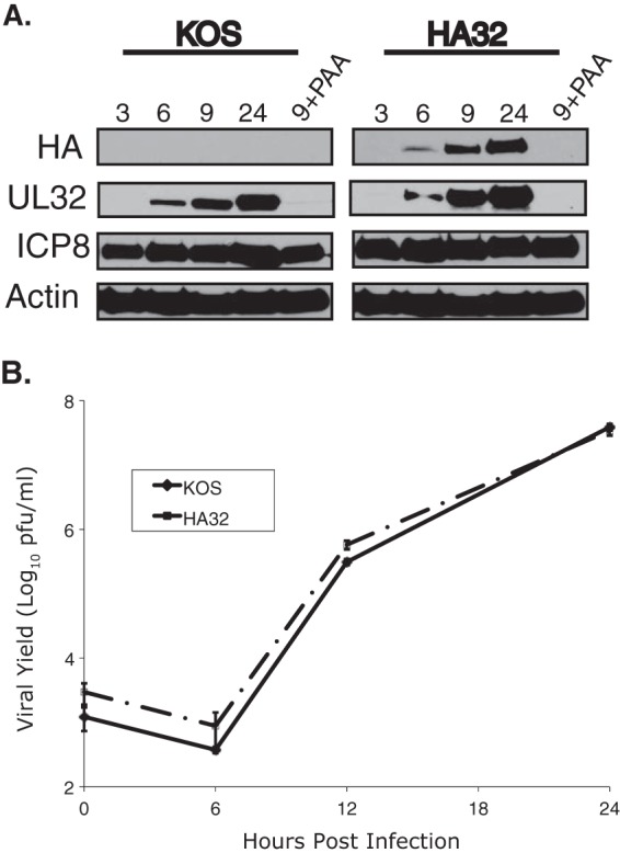 FIG 1