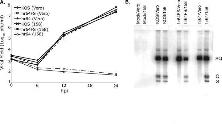 FIG 6