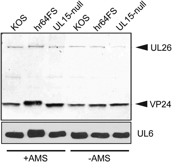 FIG 9