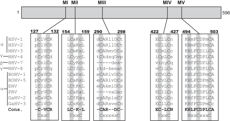 FIG 3