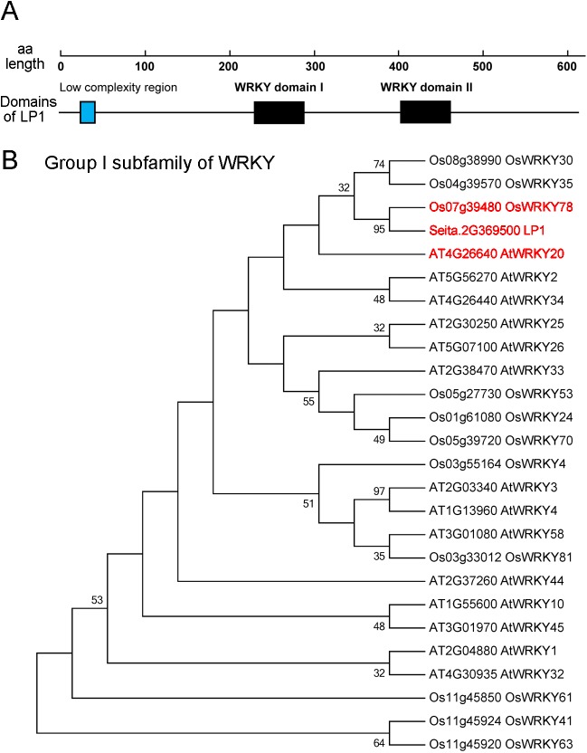 Fig 4