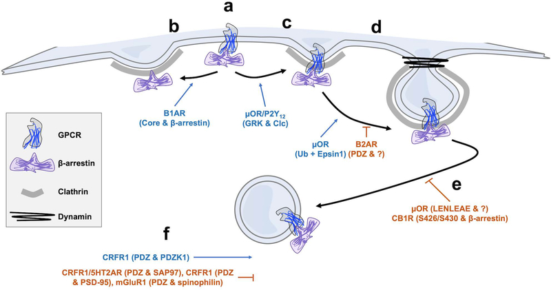 Figure 2: