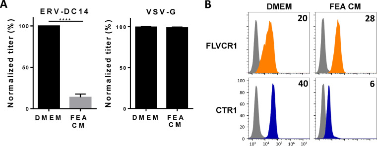 FIG 4