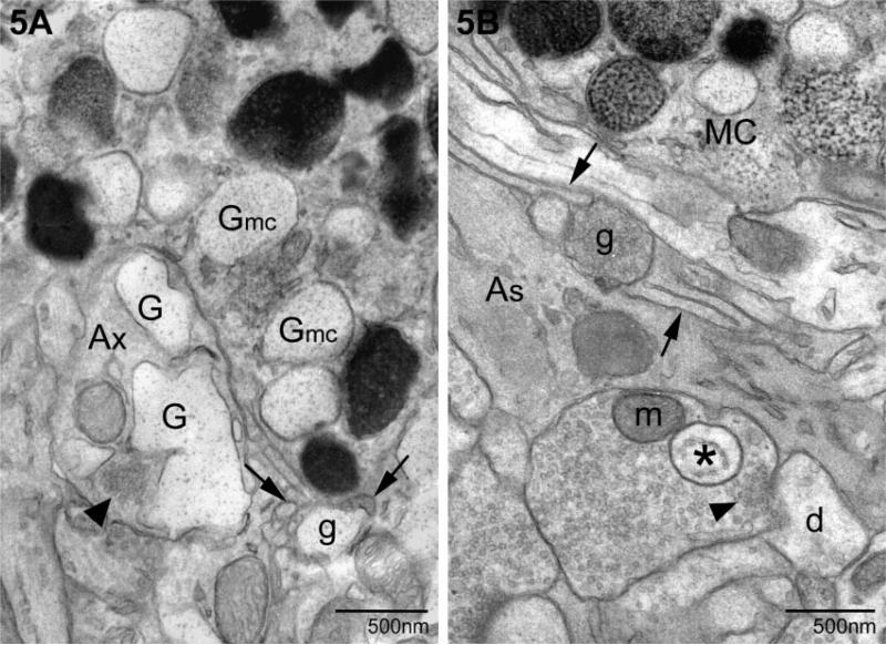 Fig. 5