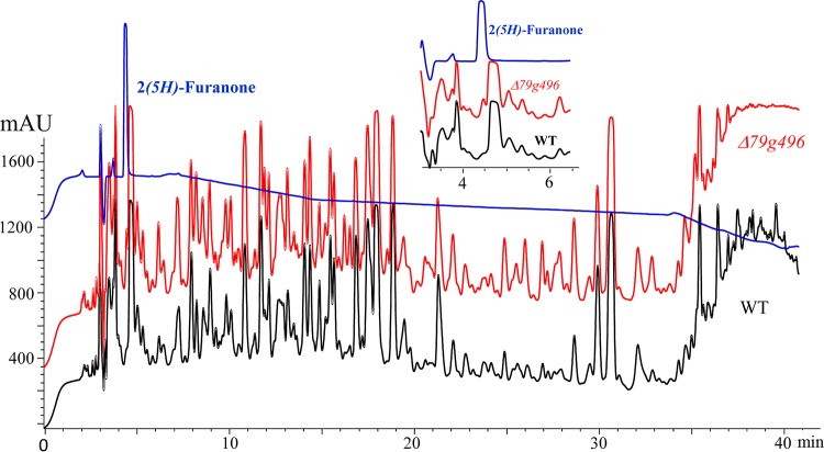 FIG 6