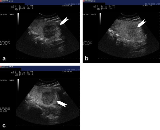 Fig. 3