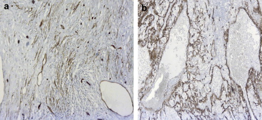 Fig. 7