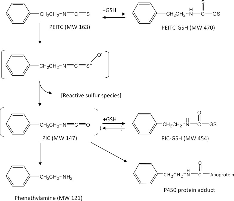 Fig. 10.