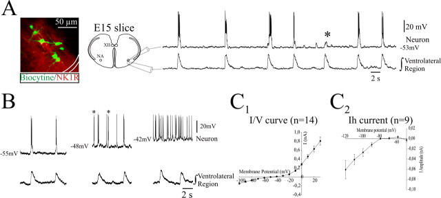 
Figure 8.
